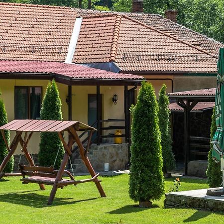 Văliug Casa Alexヴィラ エクステリア 写真