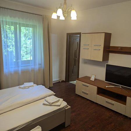 Văliug Casa Alexヴィラ エクステリア 写真