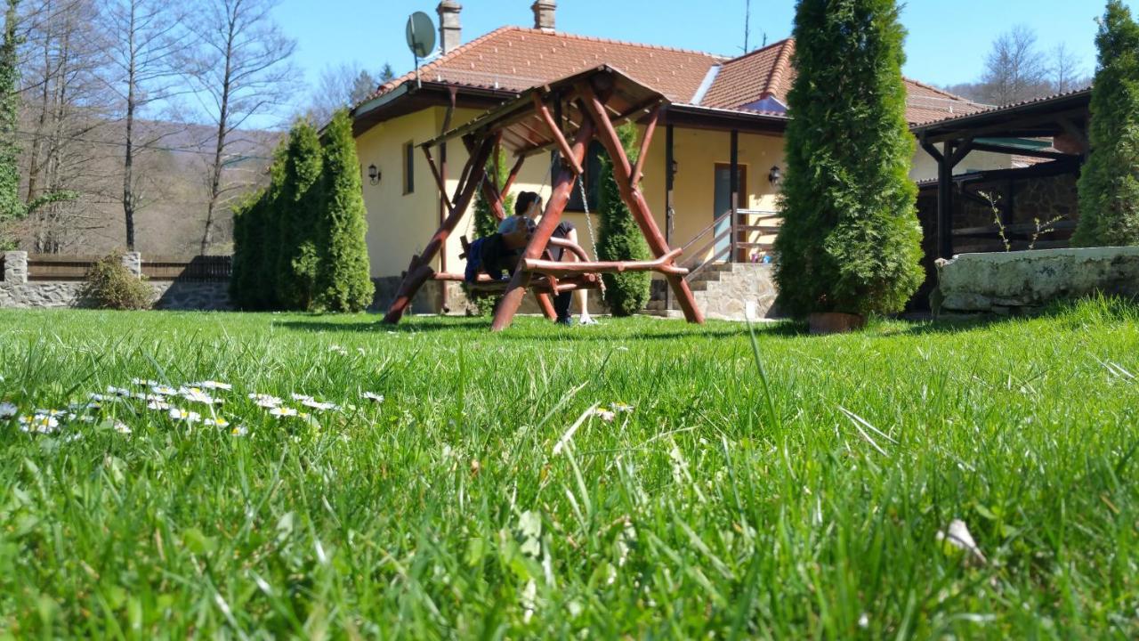 Văliug Casa Alexヴィラ エクステリア 写真