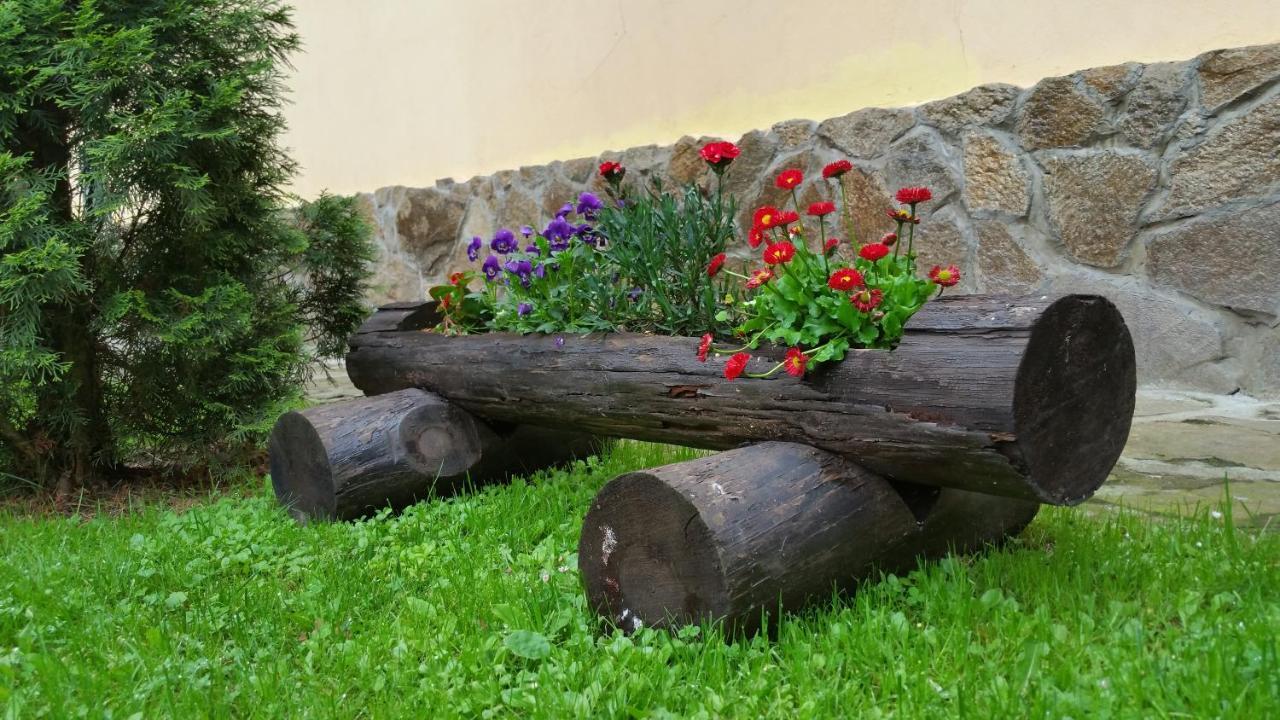 Văliug Casa Alexヴィラ エクステリア 写真