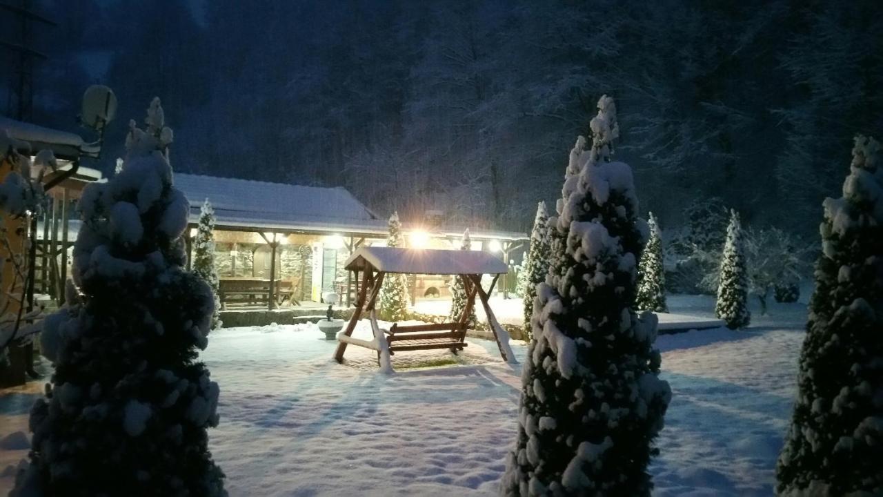 Văliug Casa Alexヴィラ エクステリア 写真
