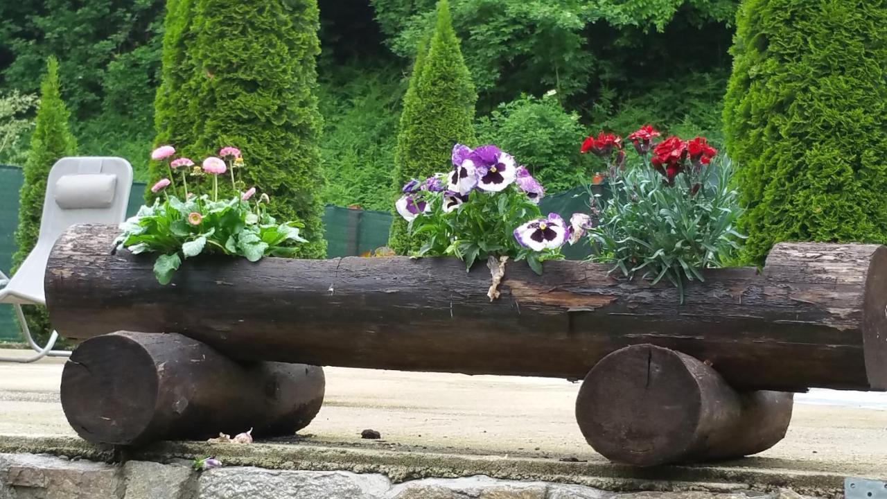 Văliug Casa Alexヴィラ エクステリア 写真