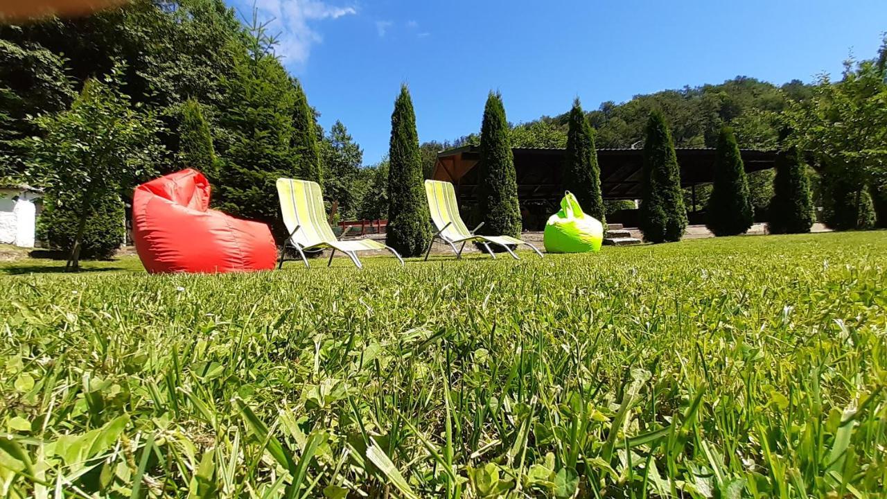 Văliug Casa Alexヴィラ エクステリア 写真