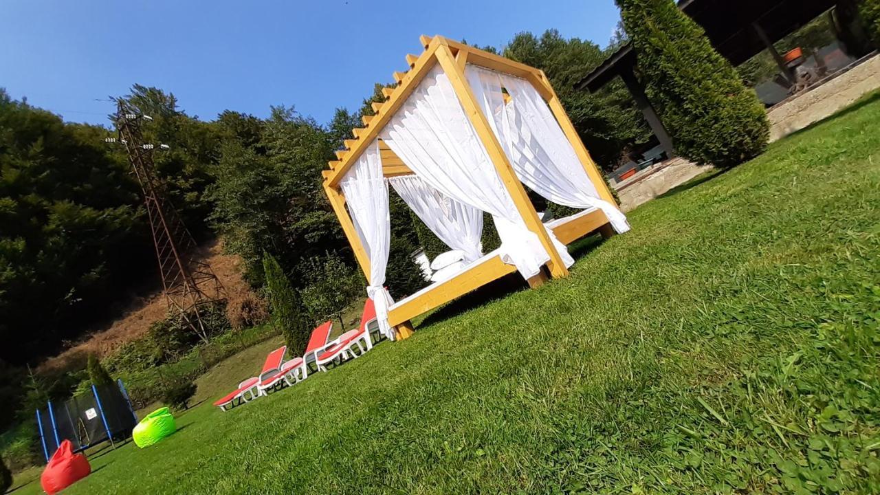 Văliug Casa Alexヴィラ エクステリア 写真