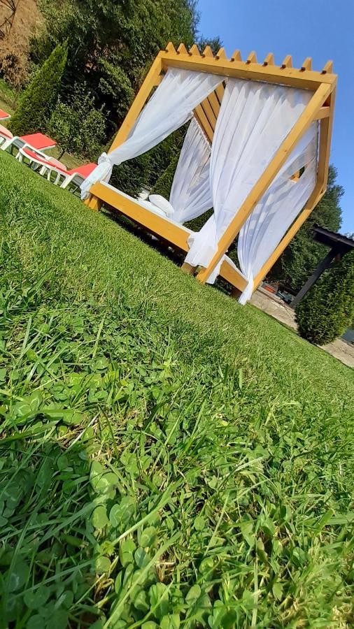 Văliug Casa Alexヴィラ エクステリア 写真