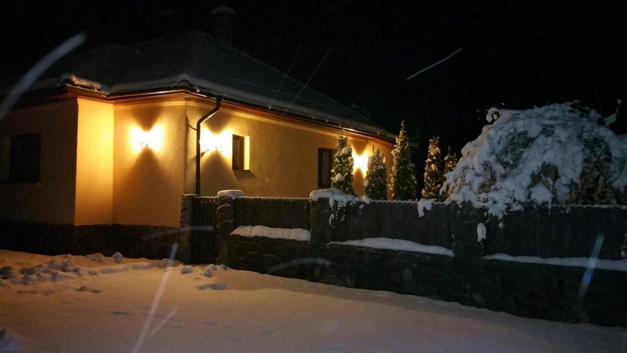 Văliug Casa Alexヴィラ エクステリア 写真