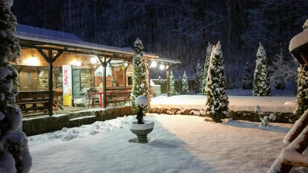 Văliug Casa Alexヴィラ エクステリア 写真