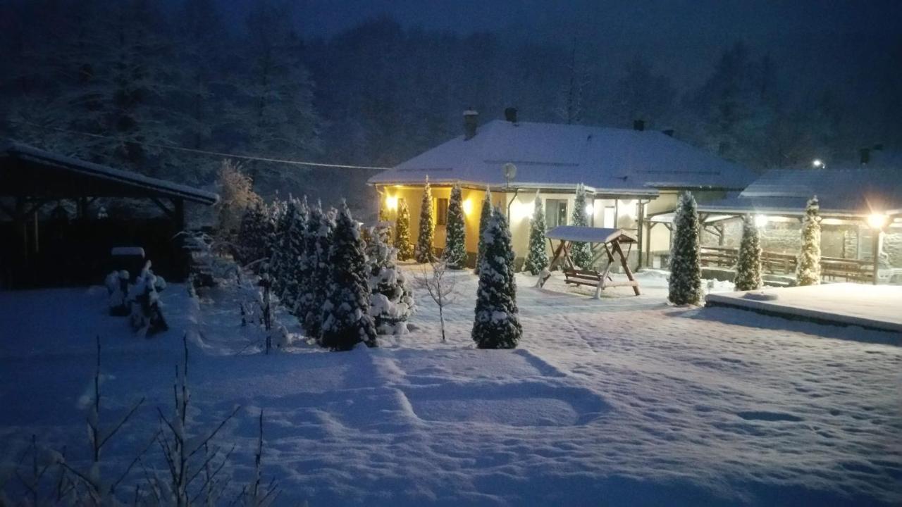Văliug Casa Alexヴィラ エクステリア 写真