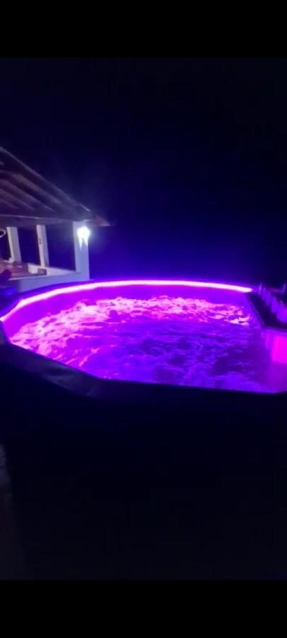 Văliug Casa Alexヴィラ エクステリア 写真