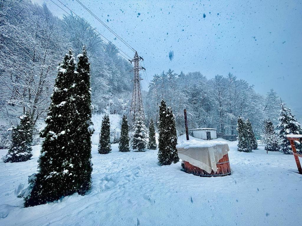 Văliug Casa Alexヴィラ エクステリア 写真