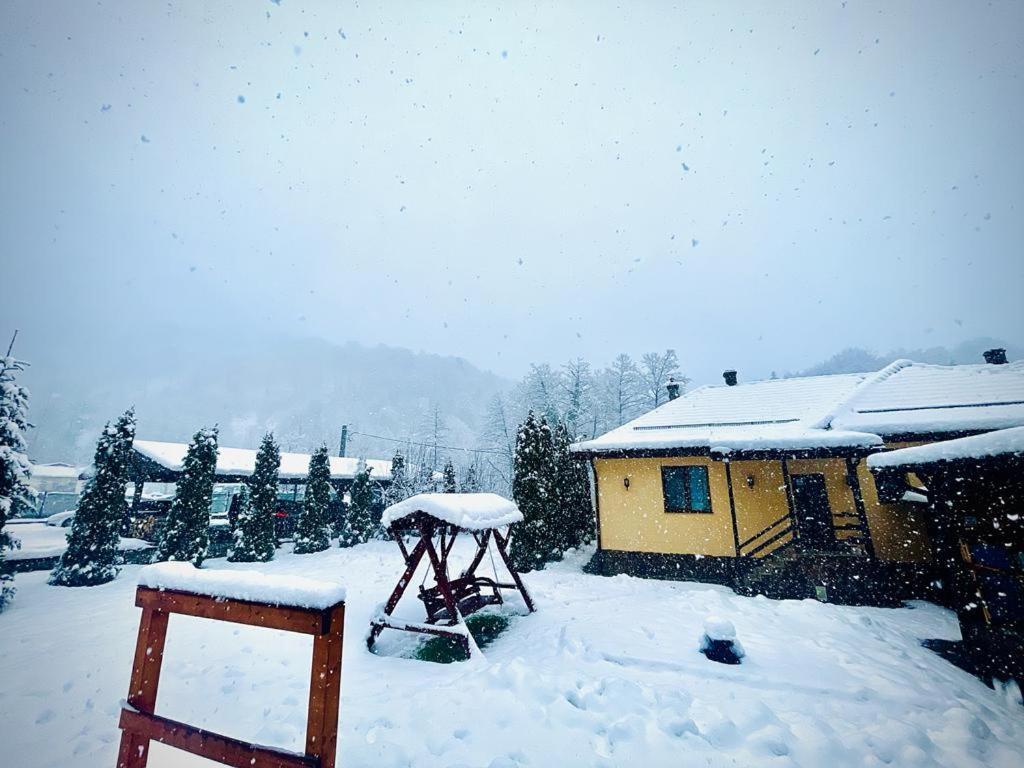 Văliug Casa Alexヴィラ エクステリア 写真