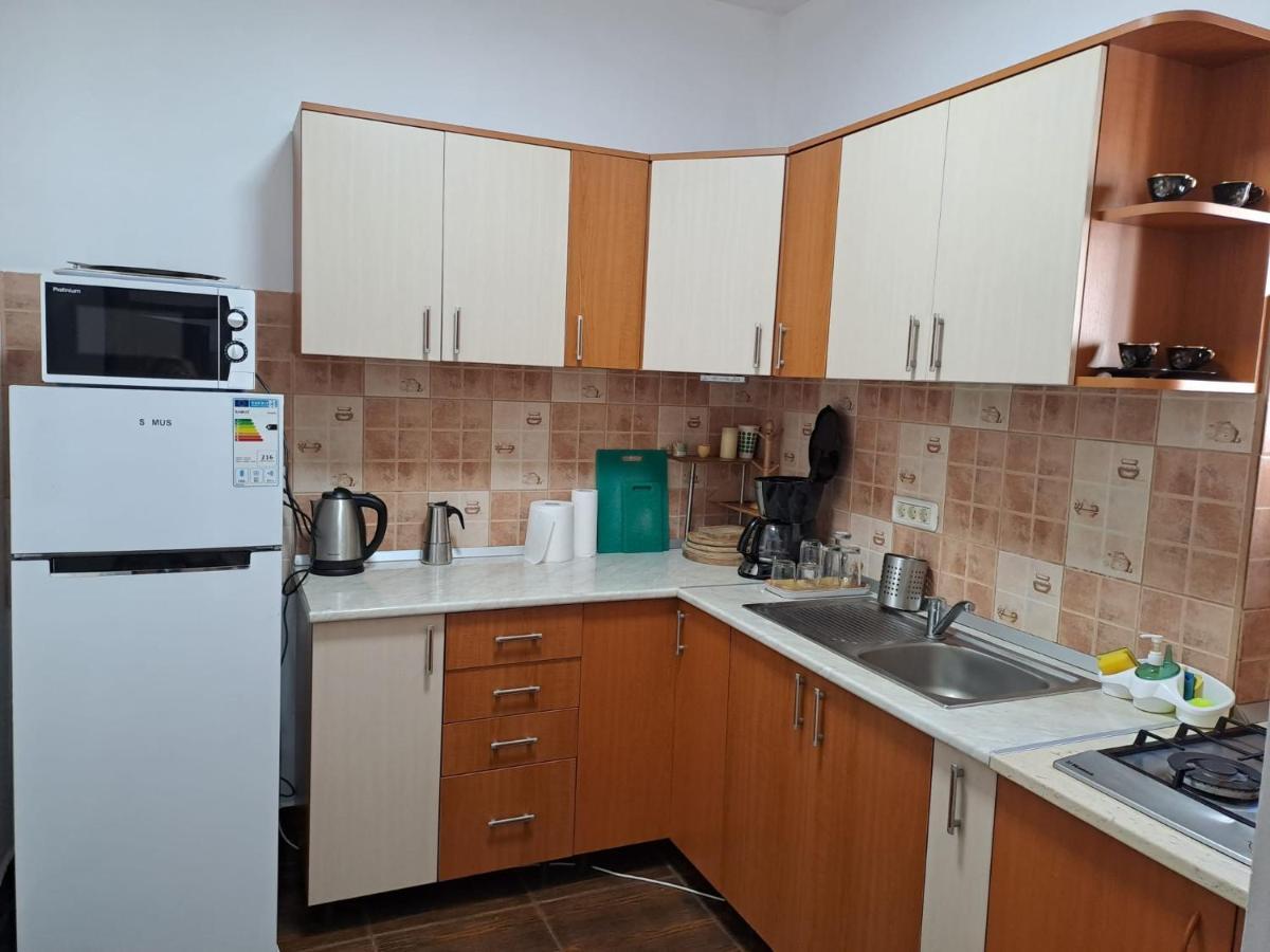 Văliug Casa Alexヴィラ エクステリア 写真