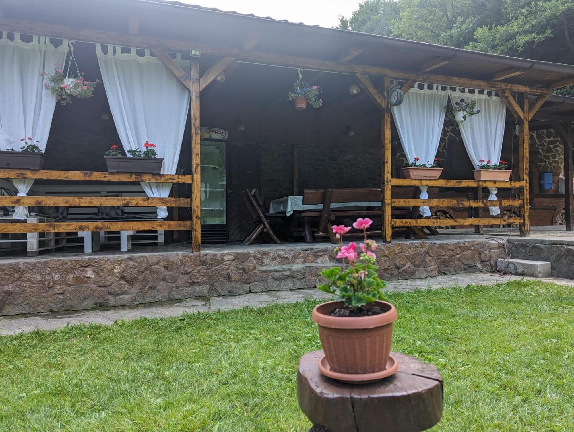 Văliug Casa Alexヴィラ エクステリア 写真